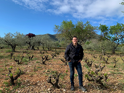 Amatria Vinos y Viñedos