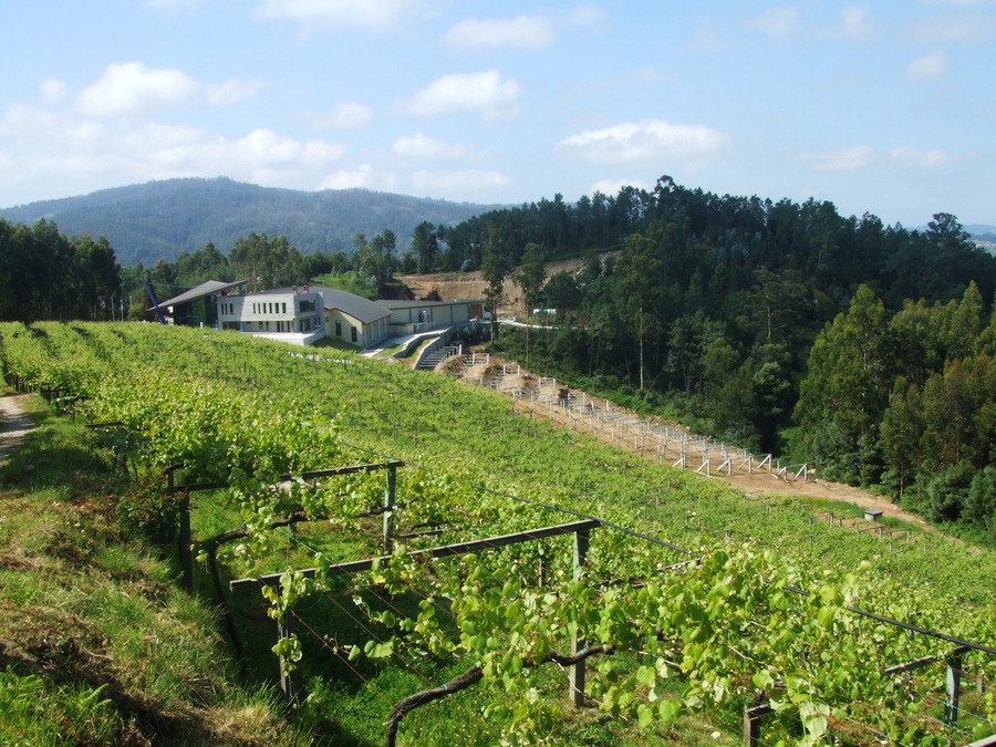 Mar de Frades